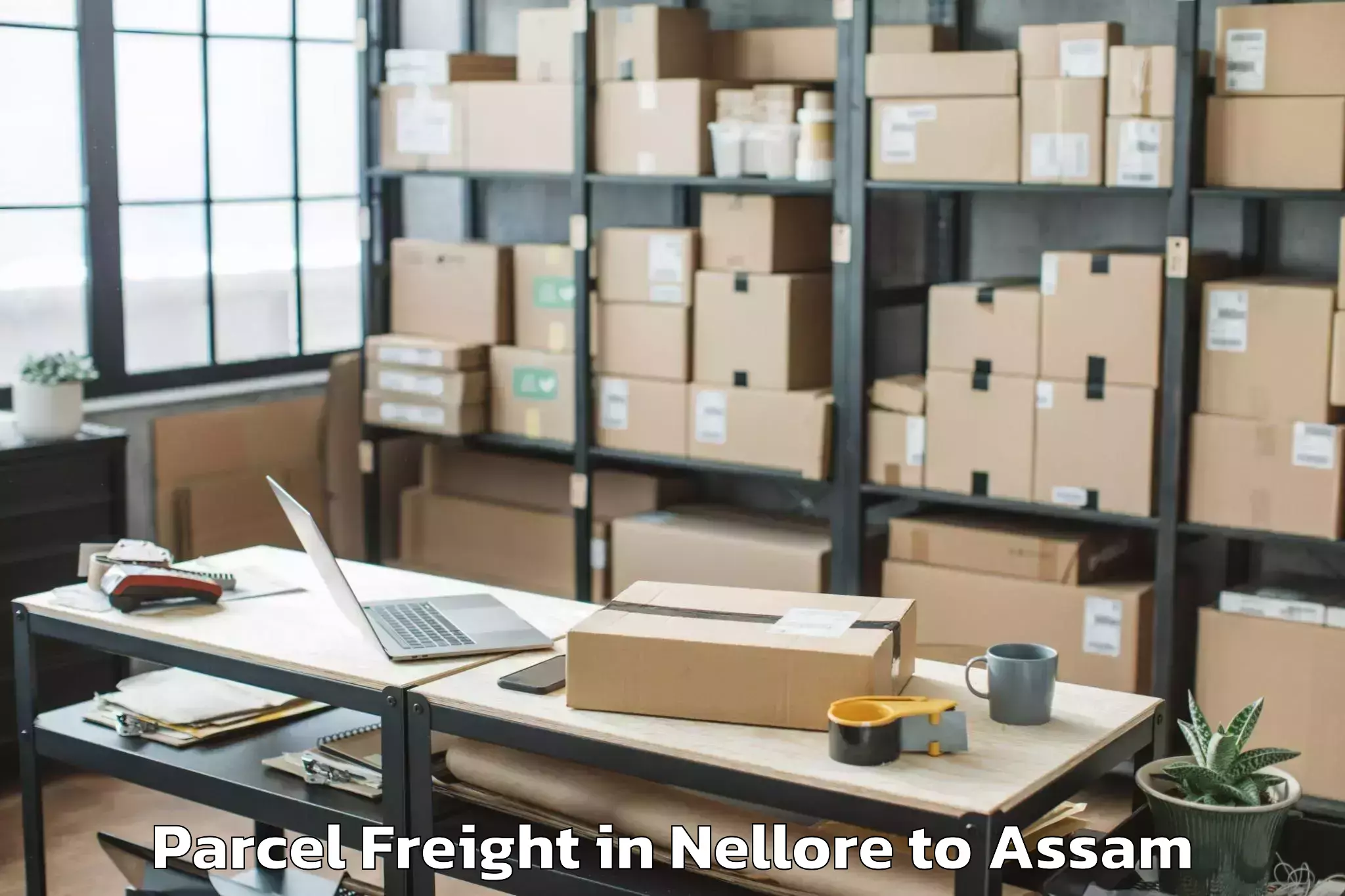 Book Your Nellore to Hajo Parcel Freight Today